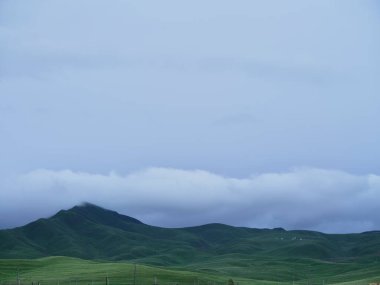 Yeşil Çimen ve Mavi Gökyüzü