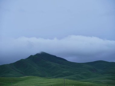 Dağları ve ağaçları olan güzel bir manzara.