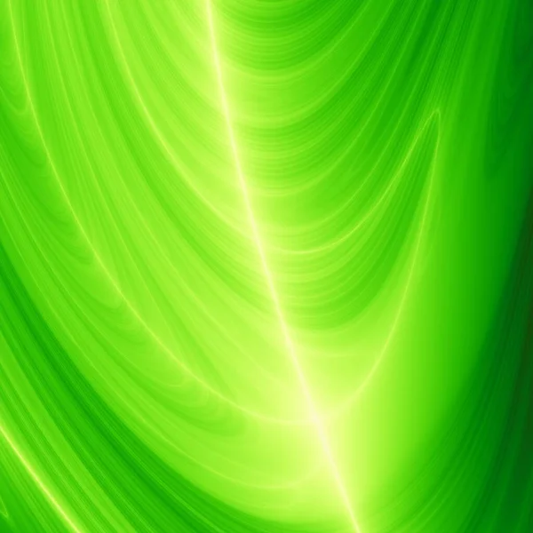 Зелене Пальмове Листя Мистецтва Абстрактні Ілюстрації Текстури Фону — стокове фото