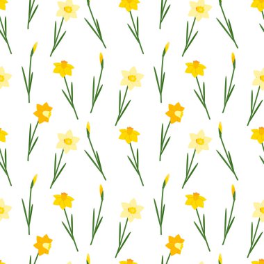 Beyaz arka planda sarı nergisler. Nergisler bahar çiçekleridir. Kusursuz desen. Web sayfası arkaplanı, tekstil, ambalaj kağıdı doldurmak için kullanılabilir. Vektör