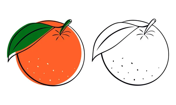 Conjunto Frutas Naranjas Estilo Garabato Vegano Granja Comida Natural Ilustración — Vector de stock