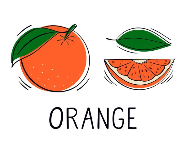 Fruta Naranja Estilo Garabato Elementos Diseño Cítricos Puede Utilizar Para — Vector de stock