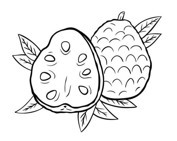 Cherimoya Annona Reticulata Zuckerapfel Puddingapfel Ganze Früchte Und Die Hälfte — Stockvektor