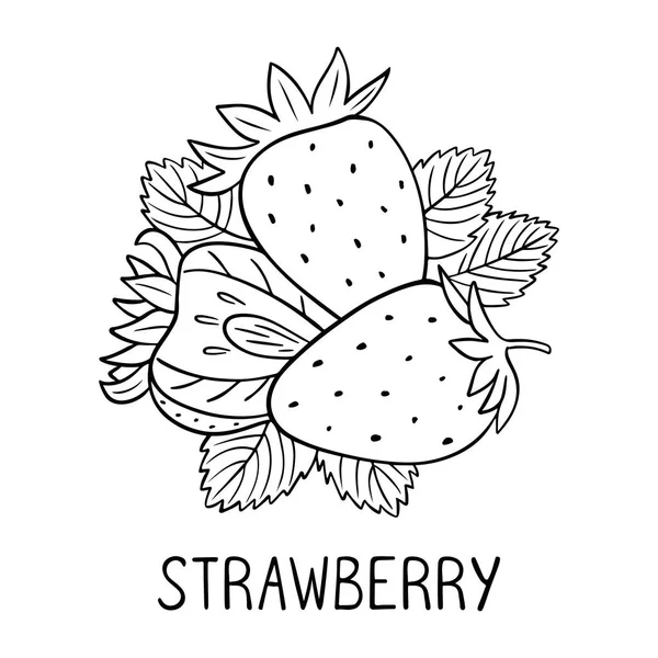 Erdbeere Doodle Stil Isoliert Auf Weißem Hintergrund Frische Beeren Skizzieren — Stockvektor