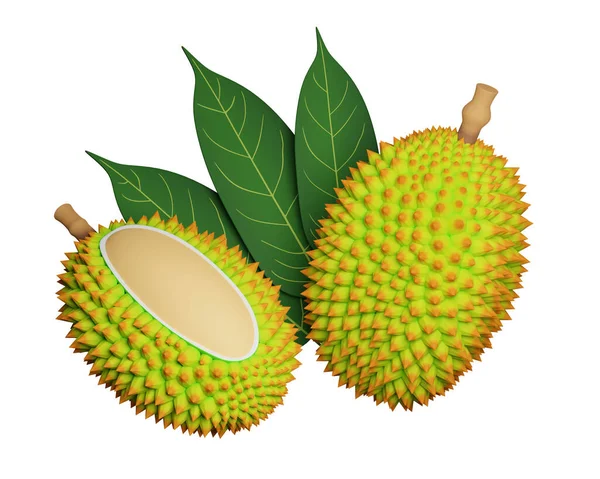Durian Liśćmi Izolowanymi Białym Tle Renderowanie — Zdjęcie stockowe