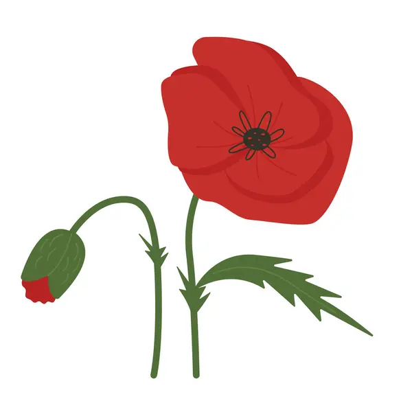 stock vector Red poppy flower isolated on white background. Vector illustration