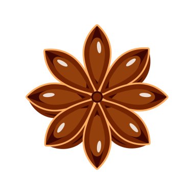 Beyaz arka planda yıldız anasonu izole edildi. Yemek pişirmek için baharatlar. Vektör illüstrasyonu