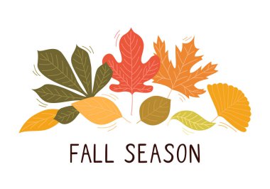Sonbahar mevsiminde ağaçtan düşen yaprakların tasviri. Ginkgo yaprakları, akçaağaç yaprakları. Mevsimsel tasarımlar için mükemmel, çeşitli şekil ve renklerde, canlı bir sonbahar yaprağı koleksiyonu. Vektör