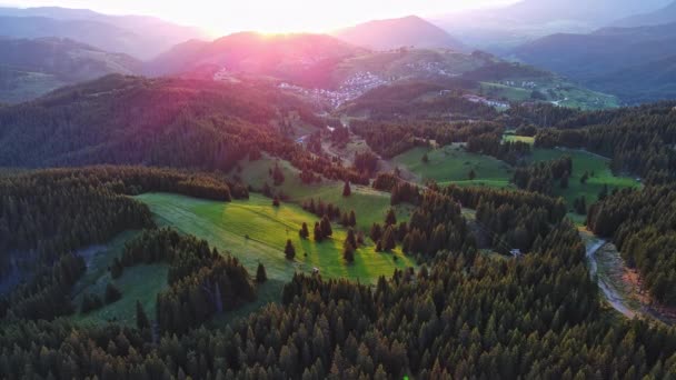 Zwischen Immergrünem Fichtenwald Mit Hohen Stacheligen Tannen Führt Ein Touristenlift — Stockvideo