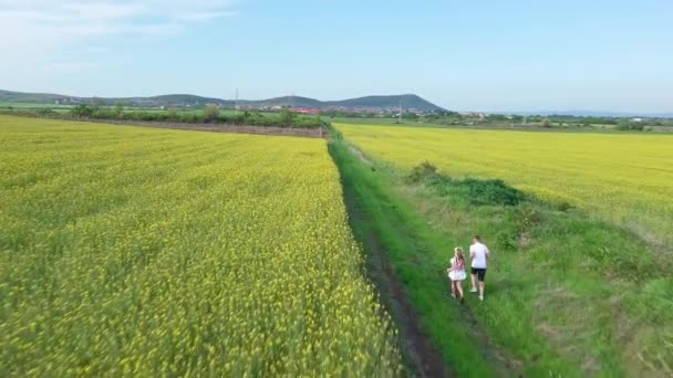 无忧无虑的孩子 哥哥和妹妹 带着新鲜的春草 在碧蓝的天空下 在黄花盛开的田野间奔跑 Uhd 4K视频实时处理 — 图库视频影像