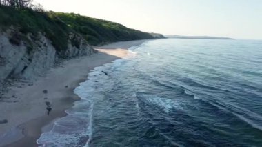 Rocky high sharp ledge with new fresh green vegetation over wild empty sandy beach in the shadow of a rock, near the deep calm undulating Black Sea under a clear blue bright sky. UHD 4K video realtime
