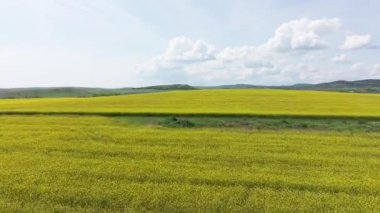 Parlak geniş çiçek tarlaları, dağda küçük bir bitki ve çayır vadisinde küçük boş bir köy ve bulutlu mavi gökyüzü. UHD 4K video gerçek zamanlı