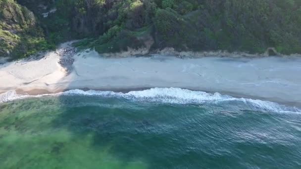 Wild Empty Sandy Beach Rocky Sharp Large Ledge Covered Green — Stockvideo
