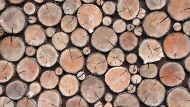 Background of round dry wooden cuts with different natural texture brown patterns. UHD 4K video slow-motion