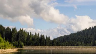 Small blue reflecting lake and clear cool water with stone narrow wild shore in coniferous spruce forest with tall fir trees, against pale blue daytime cloudy sky. UHD 4K video footage timelaps