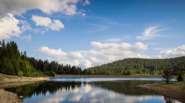 Small blue reflecting lake and clear cool water with stone narrow wild shore in coniferous spruce forest with tall fir trees, against pale blue daytime cloudy sky. UHD 4K video footage timelaps
