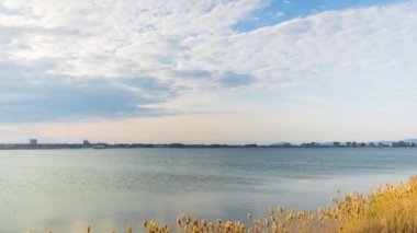 A light wind shakes dry reeds and makes ripples on a small bay of a calm river with a reflection of a cloudy blue sky. UHD 4k video timelaps