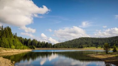 Small blue reflecting lake and clear cool water with stone narrow wild shore in coniferous spruce forest with tall fir trees, against pale blue daytime cloudy sky. UHD 4K video realtime