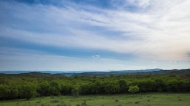 Wasteland with dry small wild bushes and withered grass in front of a low deciduous dense forest against a blue evening sky with running white clouds. UHD 4K video timelaps