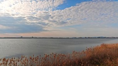 A light wind shakes dry reeds and makes ripples on a small bay of a calm river with a reflection of a cloudy blue sky. UHD 4k video timelaps