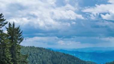 Mountain spring valley with fresh green meadows and evergreen dense spruce forests against the backdrop of a daytime cloudy bright blue sky. UHD 4K video timelaps