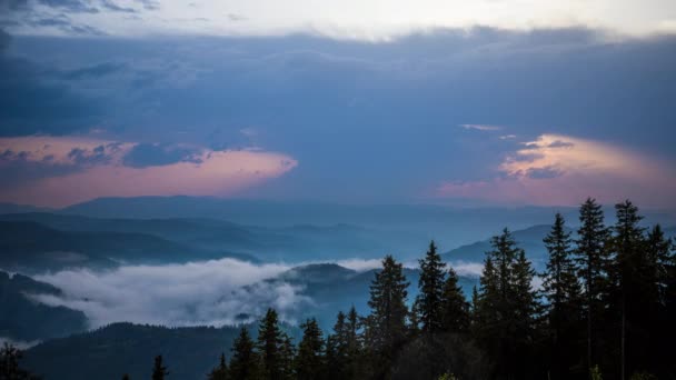 暗い空を背景にロープ山脈のトウヒ常緑樹林で覆われた低い丘の上に曇りの天気 そして山脈の間の神秘的な厚い白い霧 Uhd 8Kビデオ タイムラプス — ストック動画