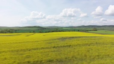 Parlak geniş çiçek tarlaları, dağda küçük bir bitki ve çayır vadisinde küçük boş bir köy ve bulutlu mavi gökyüzü. UHD 4K video gerçek zamanlı
