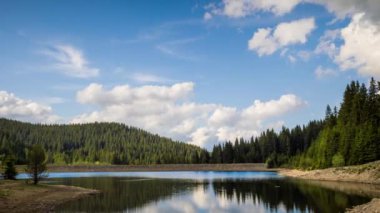 Small blue reflecting lake and clear cool water with stone narrow wild shore in coniferous spruce forest with tall fir trees, against pale blue daytime cloudy sky. UHD 4K video footage timelaps