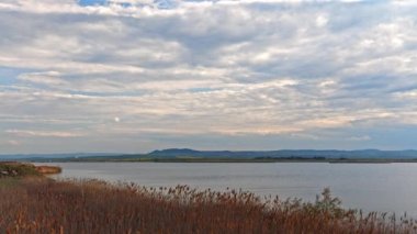 A light wind shakes dry reeds and makes ripples on a small bay of a calm river with a reflection of a cloudy blue sky. UHD 4k video timelaps
