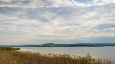 A light wind shakes dry reeds and makes ripples on a small bay of a calm river with a reflection of a cloudy blue sky. UHD 4k video timelaps