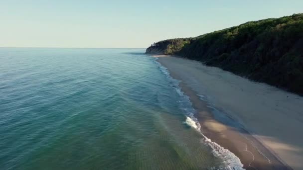 Wild Empty Sandy Beach Rocky Sharp Large Ledge Covered Green — Stock Video