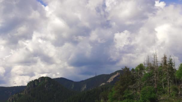 High Tourist Observation Tower Snezhana Mountain Peak Snezhana Covered Evergreen — Wideo stockowe