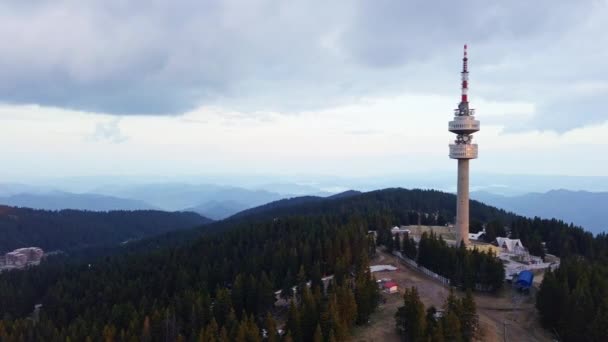 Висока Туристична Оглядова Вежа Снежана Вершині Снежани Покрита Вічнозеленими Рясними — стокове відео
