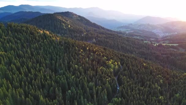 信頼性の高い金属ケーブルを備えた観光用リフトは ロープス山脈の山脈を背景にピーク時に 背の高い高価な企業と常緑のトウヒの森の間を通過します Uhd 4Kビデオリアルタイム — ストック動画