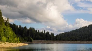 Small blue reflecting lake and clear cool water with stone narrow wild shore in coniferous spruce forest with tall fir trees, against pale blue daytime cloudy sky. UHD 4K video realtime