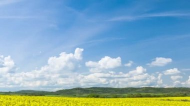 Bright large flowering fields with yellow spring small plant in mountain and meadow valley against backdrop of small empty old village and cloudy blue daytime sky. UHD 4K video timelaps