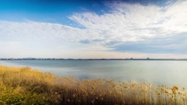 A light wind shakes dry reeds and makes ripples on a small bay of a calm river with a reflection of a cloudy blue sky. UHD 8k video timelaps