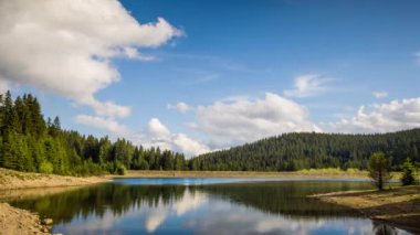 Small blue reflecting lake and clear cool water with stone narrow wild shore in coniferous spruce forest with tall fir trees, against pale blue daytime cloudy sky. UHD 8K video footage timelaps