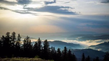 Cloudy weather over low hills covered with spruce evergreen forests in Rhodope Mountains against backdrop of dark sky, and mystical thick white fog between mountain ranges. UHD 8K video timelaps