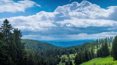 Mountain spring valley with fresh green meadows and evergreen dense spruce forests against the backdrop of a daytime cloudy bright blue sky. UHD 8K video timelaps