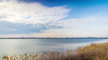 A light wind shakes dry reeds and makes ripples on a small bay of a calm river with a reflection of a cloudy blue sky. UHD 8k video timelaps
