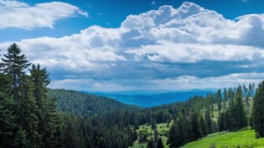 Mountain spring valley with fresh green meadows and evergreen dense spruce forests against the backdrop of a daytime cloudy bright blue sky. UHD 4K video timelaps