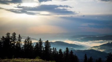 Cloudy weather over low hills covered with spruce evergreen forests in Rhodope Mountains against backdrop of dark sky, and mystical thick white fog between mountain ranges. UHD 4K video timelaps