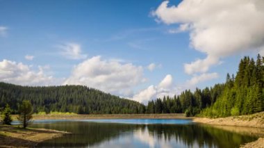 Small blue reflecting lake and clear cool water with stone narrow wild shore in coniferous spruce forest with tall fir trees, against pale blue daytime cloudy sky. UHD 4K video realtime