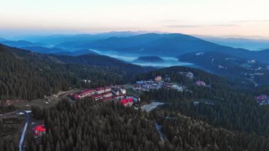 Bitki örtüsü ve ladin ile korunan yeşil bahar dağı vadisi Smolyan 'ın küçük bir köyü olan karanlık sık ormanlar ve aç koyunların otladığı otlak otlaklar. UHD 4K video gerçek zamanlı