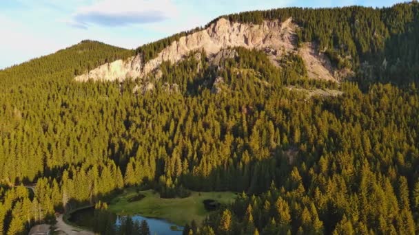 Lembah Mata Air Hijau Pegunungan Dilindungi Oleh Vegetasi Gunung Dan — Stok Video