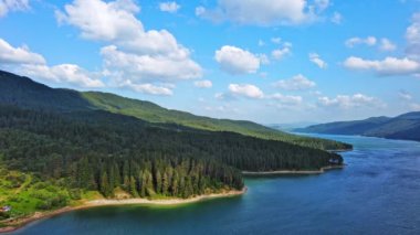 Small blue reflecting lake and clear cool water with stone narrow wild shore in coniferous spruce forest with tall fir trees, against pale blue daytime cloudy sky. UHD 4K video realtime