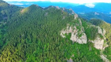 Yoğun koyu ladin ormanları ve mavi bulutlu gökyüzü ile kaplı dağ vadisinin arka planına karşı yeşil bitki örtüsüyle kaplı Rodop Dağları 'nın yüksek kayalık vahşi dağ sıraları. UHD 4K video gerçek zamanlı