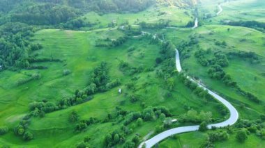 Dönen asfalt bir dağ yolu yüksek yeşil tepeleri geçer ladin ormanları ile kaplı ve taze bahar geniş çayırları bulutlu gri sınırsız gökyüzüne karşı. UHD 4K video gerçek zamanlı