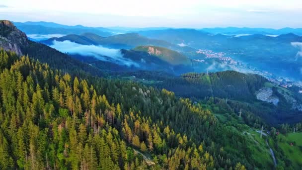 Alta Catena Montuosa Rocciosa Selvaggia Rodopi Montagne Coperte Vegetazione Verde — Video Stock